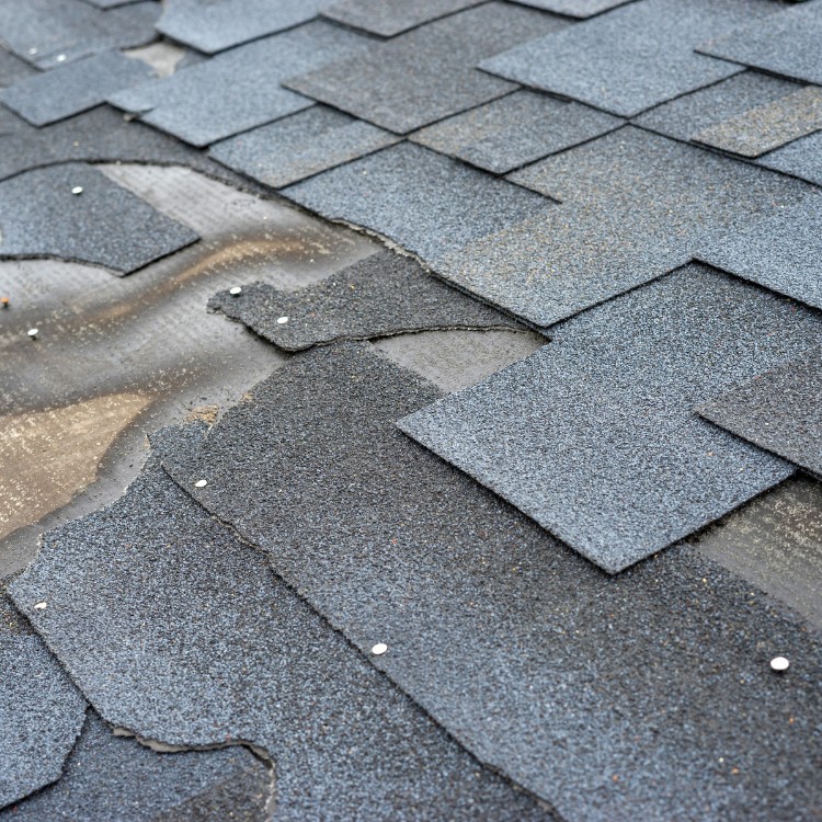 Roofing Services in San Leon, TX