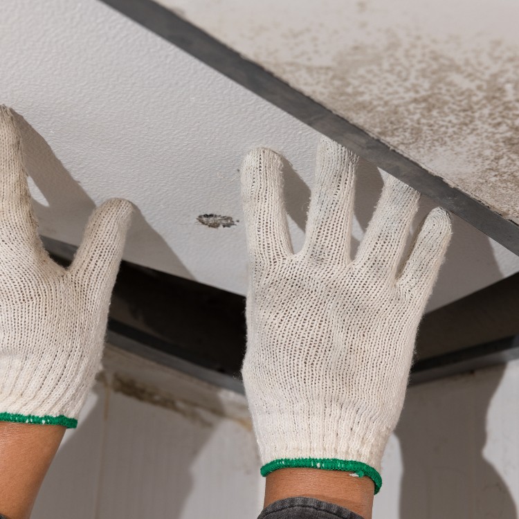 Roofing Services in San Leon, TX